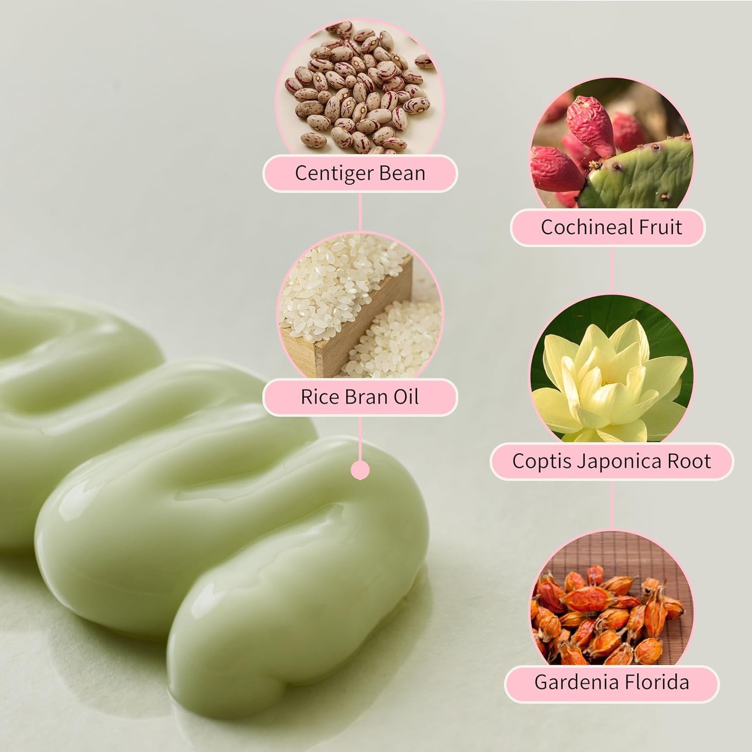 Beauty of Joseon Jello Skin Massage Cream | 200ml | Korean Calming Body & Face Cream with Gua Sha for Smoothing & Soothing - Image 3