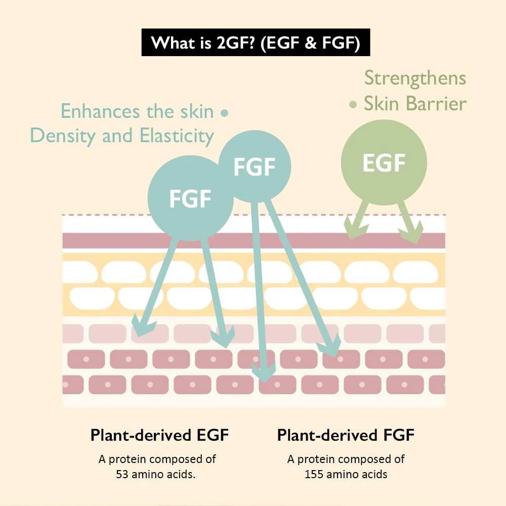 Haruharu Wonder - Black Rice Hyaluronic Botanical 2GF Wonderful Ampoule 30ml - Image 6